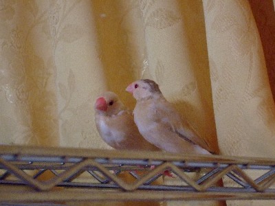 32_20130114085617.jpg