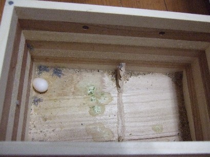3_20120528001031.jpg