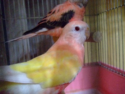3_20121205225422.jpg