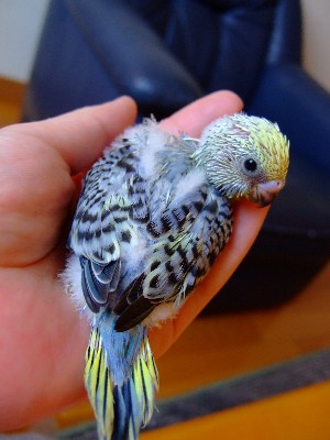4_20120627150907.jpg