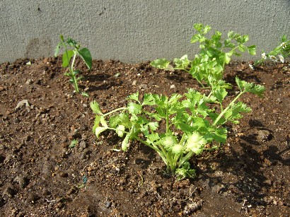 5_20120507095611.jpg