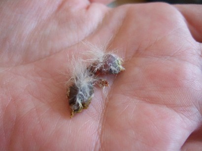 5_20120529130146.jpg