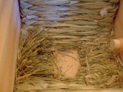 5_20120730154220.jpg