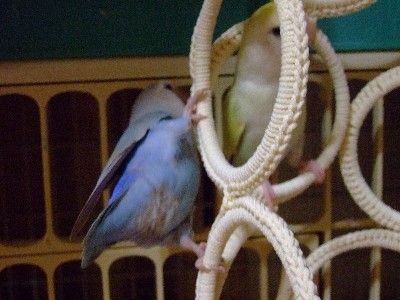 7_20120706112142.jpg