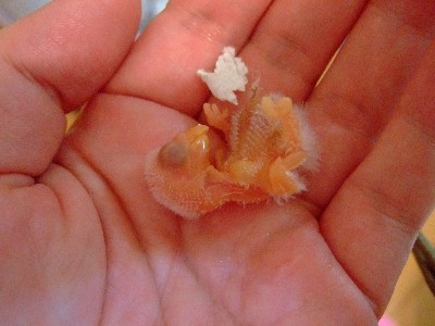 7_20120814094807.jpg