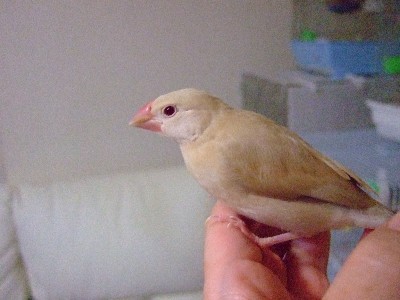 7_20121130102557.jpg