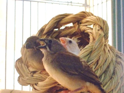 9_20120801114858.jpg