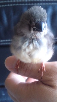 mini_120610_1308.jpg