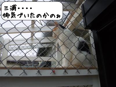 かてい24