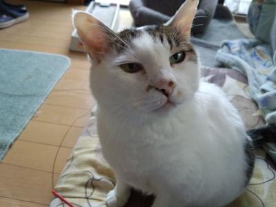 ふあん7