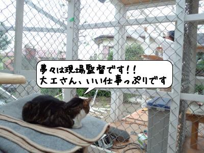 たいじゅう21