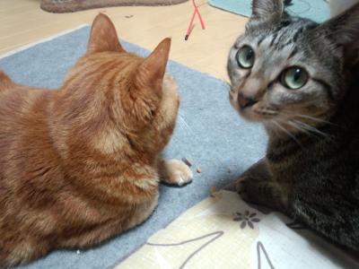 ひさく3
