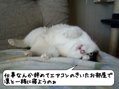たいやき17