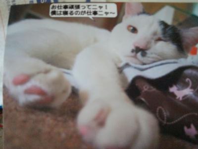 はち1