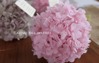 ajisaiball-lesson-007