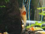 DSC_0075 (640x480)