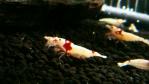 20120817_131330 (640x360)