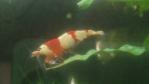 DSC_0006 (700x394)