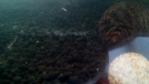 DSC_0037 (700x394)
