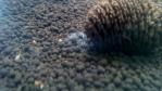 DSC_0033 (700x394)