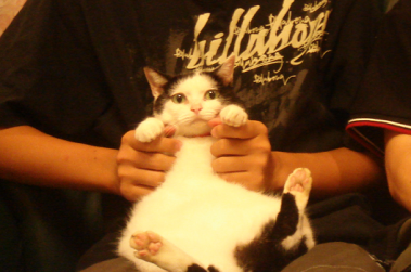 DSC00400.png