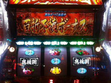 IMG_1308.jpg