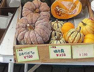 DSC06877b.jpg