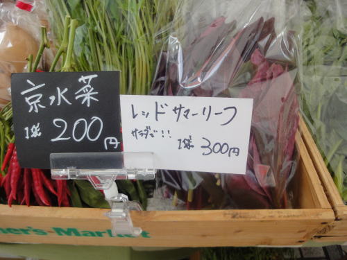 DSC07357.jpg