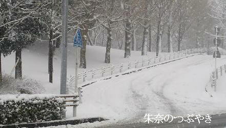 2014-02-14-4_1.jpg