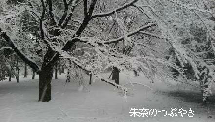 2014-02-14-5_1.jpg