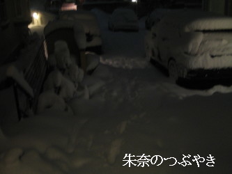 IMG_0778_1.jpg