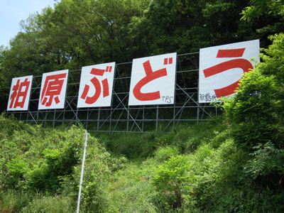 2012052206.jpg