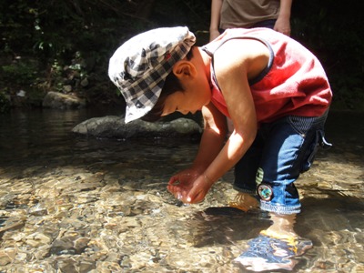 2012082203.jpg