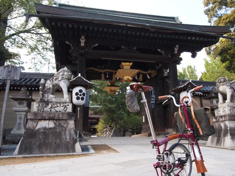 2012102421.jpg