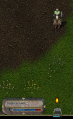 arrow.png