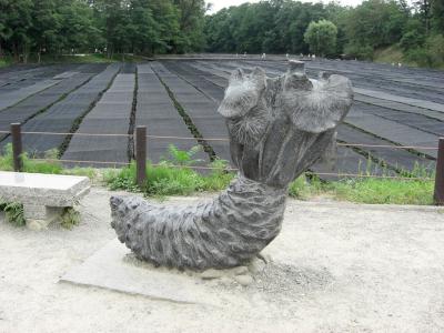 wasabi_03
