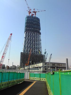 hikui.jpg