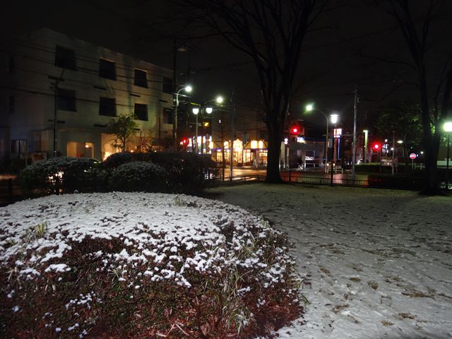 DSC02229_R.jpg