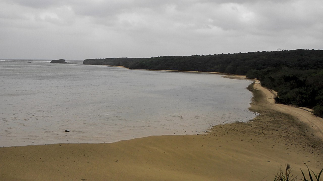 1212_3.jpg