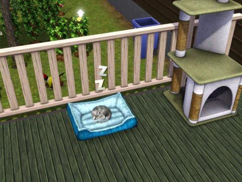 Screenshot-602_convert_20121111213014.jpg
