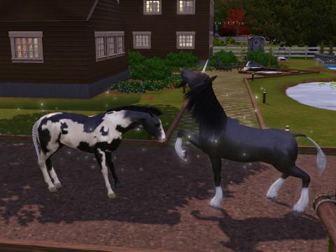 Screenshot-618_convert_20121123113656.jpg