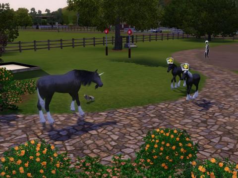 Screenshot-785_convert_20121214231445.jpg
