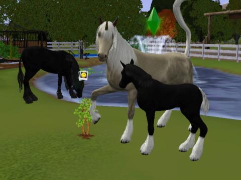 Screenshot-913_convert_20120524221902.jpg