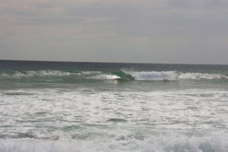 IMG_123008.jpg