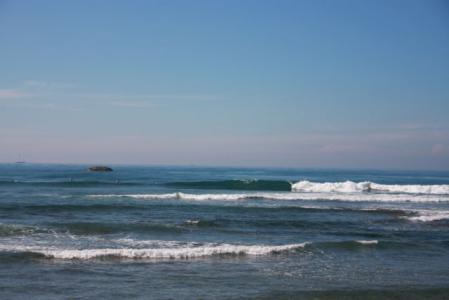 IMG_3097.jpg