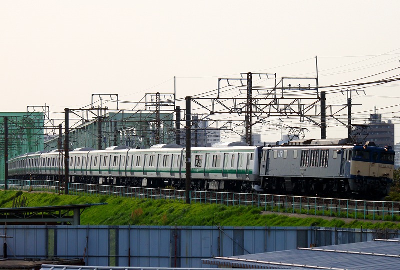 IMG_7963.jpg