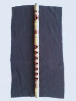 KIMG2203.jpg