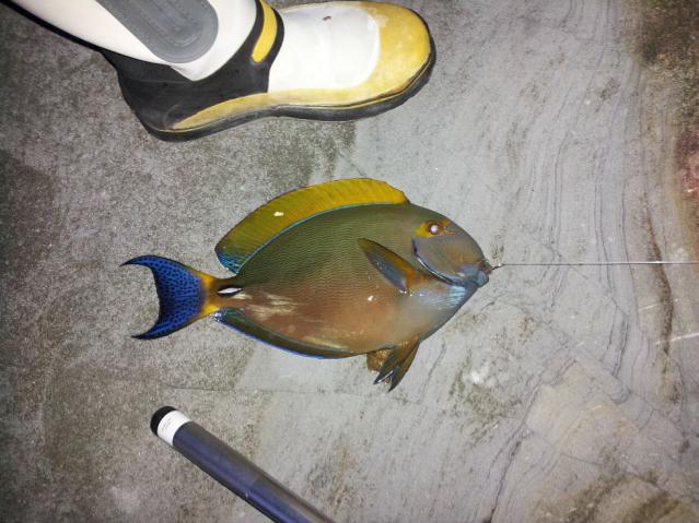 20120710_193018.jpg