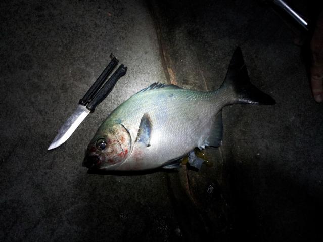 20120710_195355.jpg