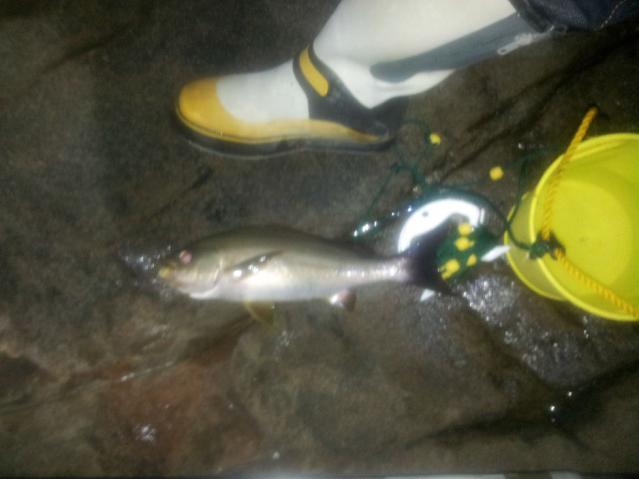 20120710_215237.jpg